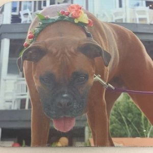 Meet your Posher, Chad